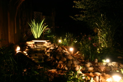 A backyard garden at night, illuminated by small ground lights, features a rocky creek with green plants and tall grass, creating a peaceful and inviting atmosphere.